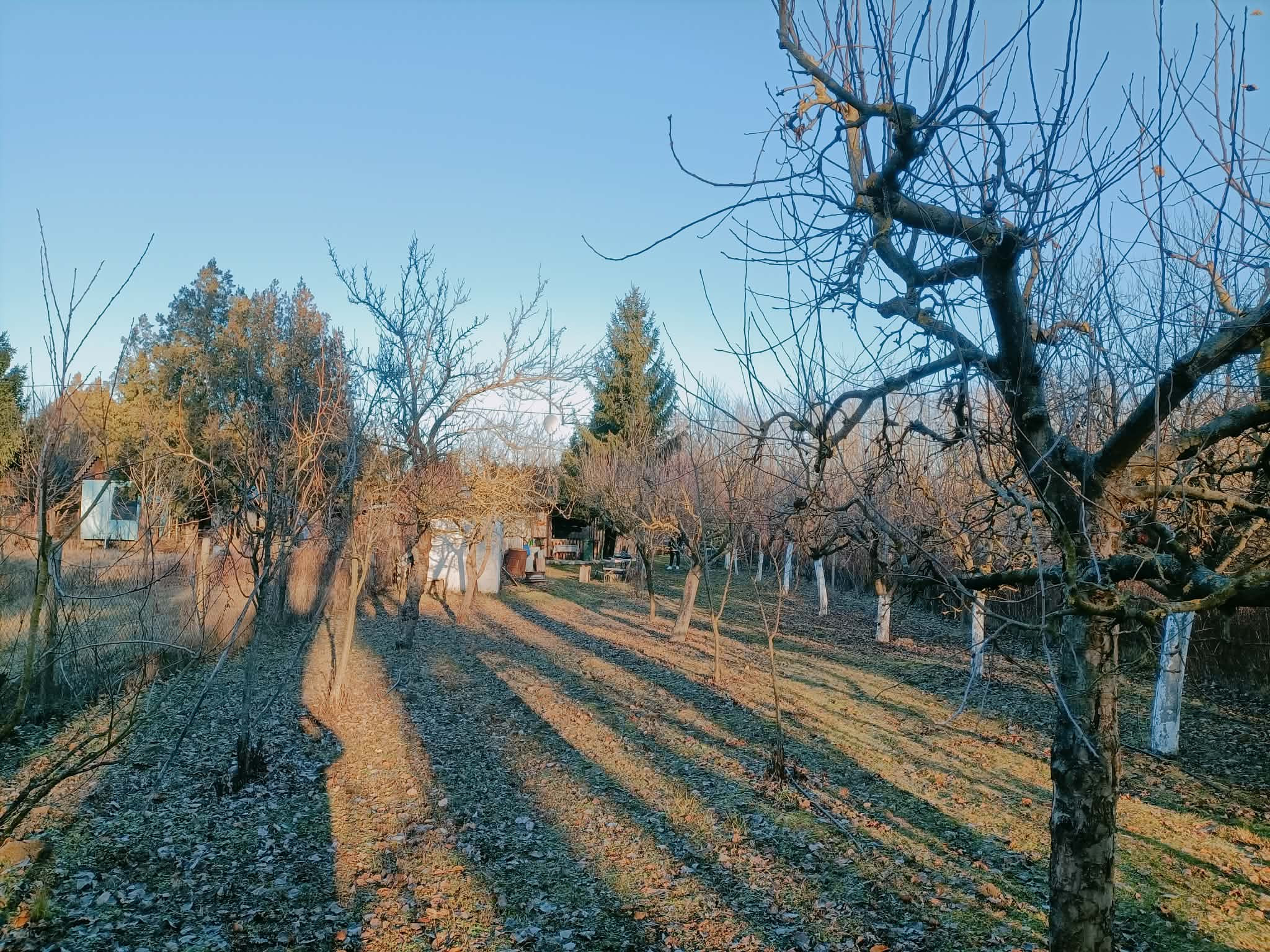 Ponúkame na predaj záhradu v záhradkárskej oblasti pri Kolárove