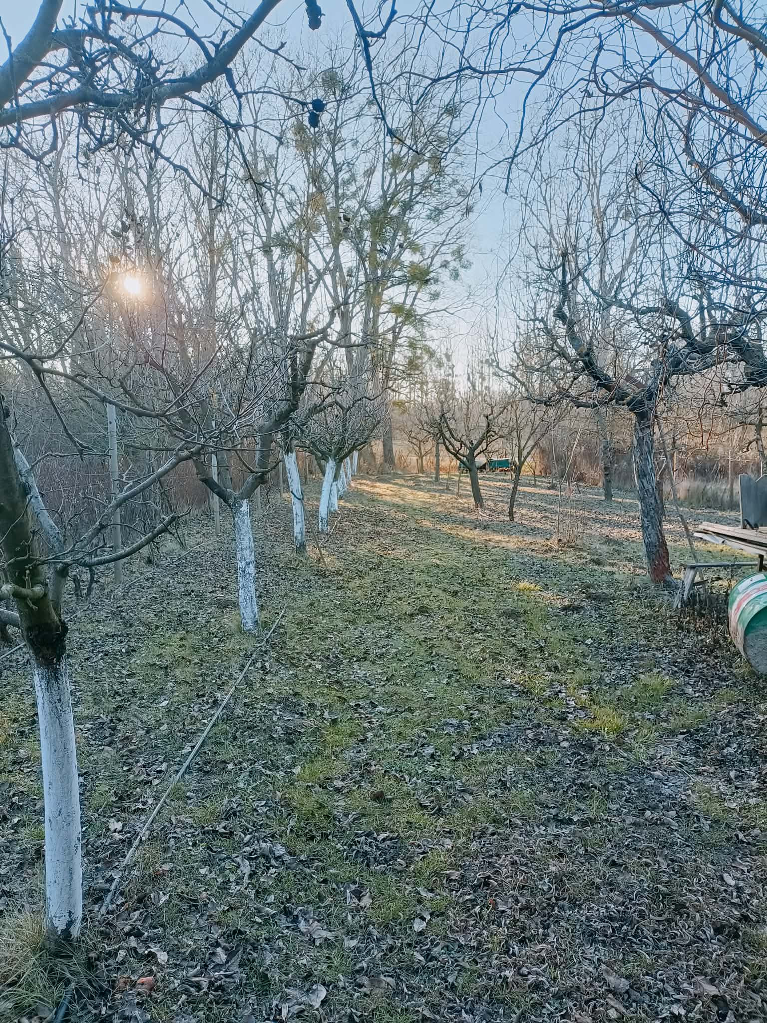 Ponúkame na predaj záhradu v záhradkárskej oblasti pri Kolárove