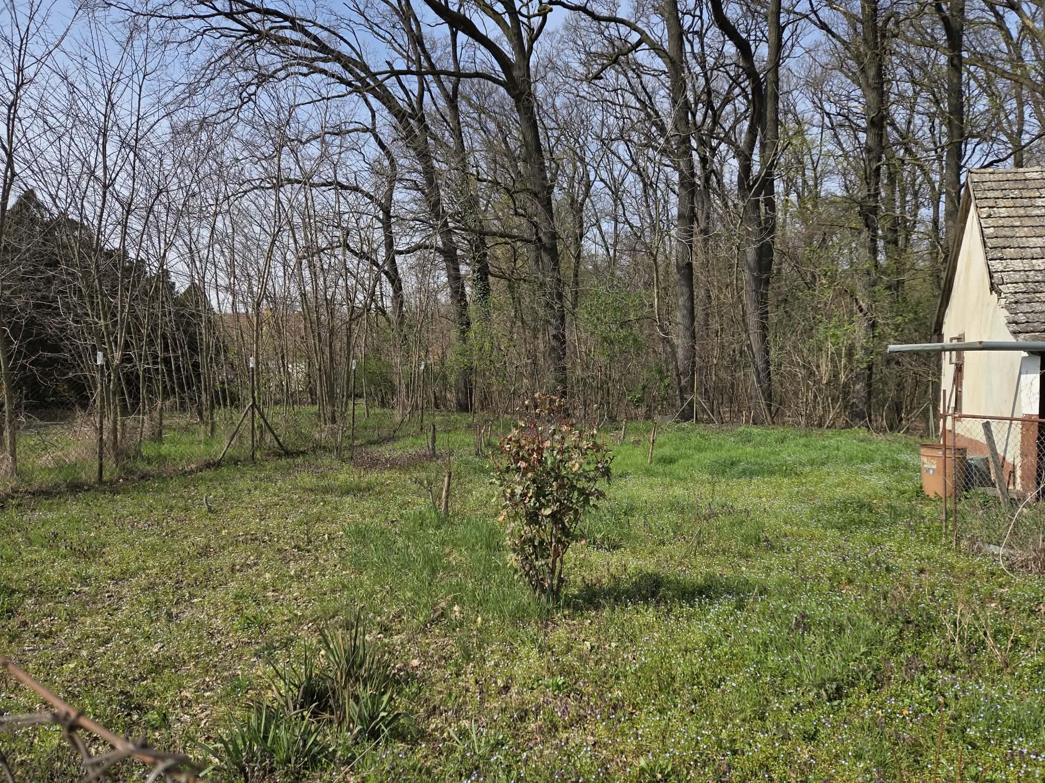 Ponúkame na predaj chatu na Malom Ostrove