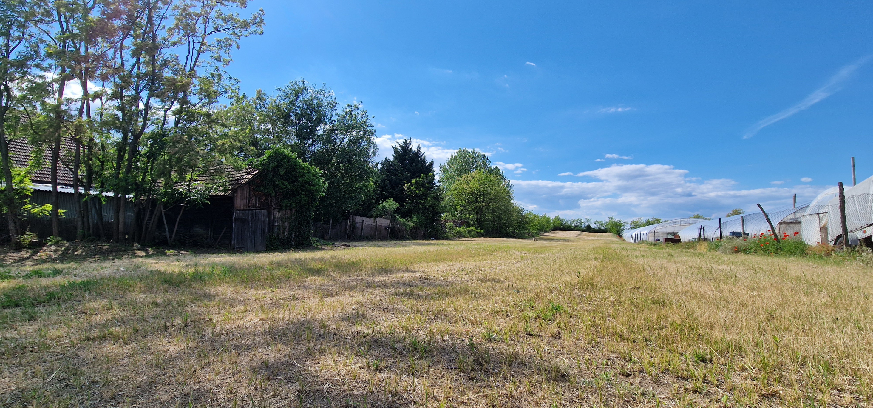 Ponúkam na predaj veľký pozemok s rozlohou 3765 m² v meste Nesvady