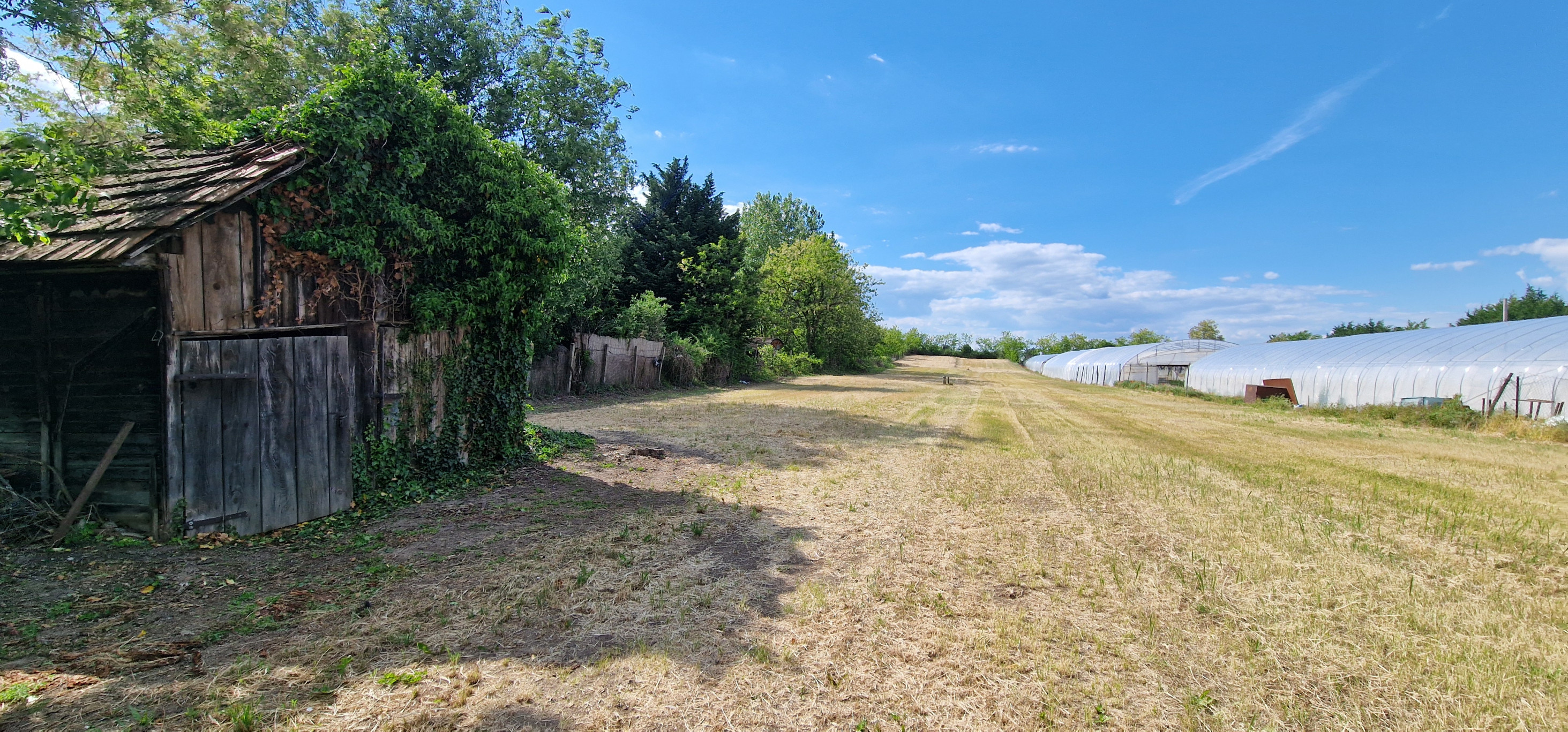 Ponúkam na predaj veľký pozemok s rozlohou 3765 m² v meste Nesvady