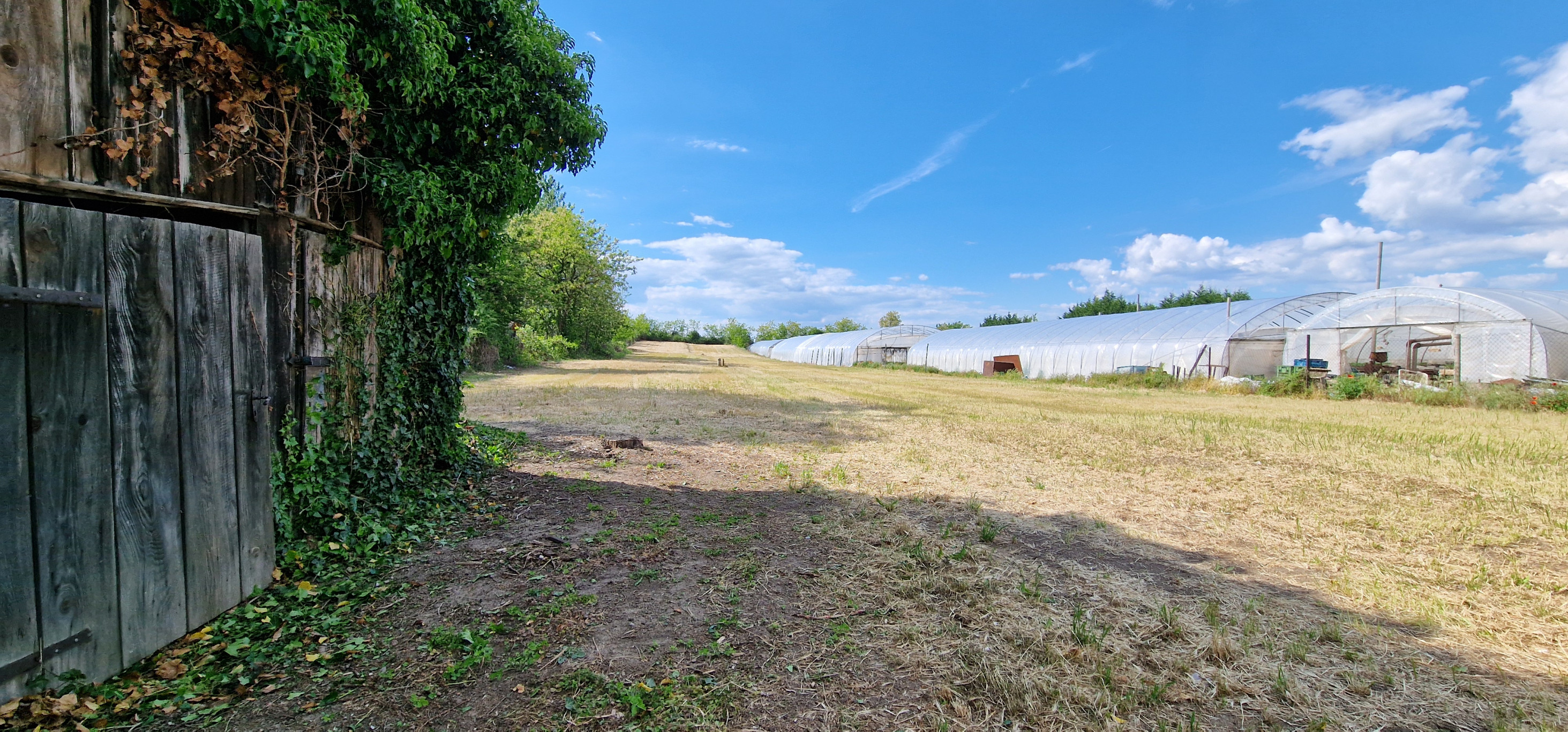 Ponúkam na predaj veľký pozemok s rozlohou 3765 m² v meste Nesvady