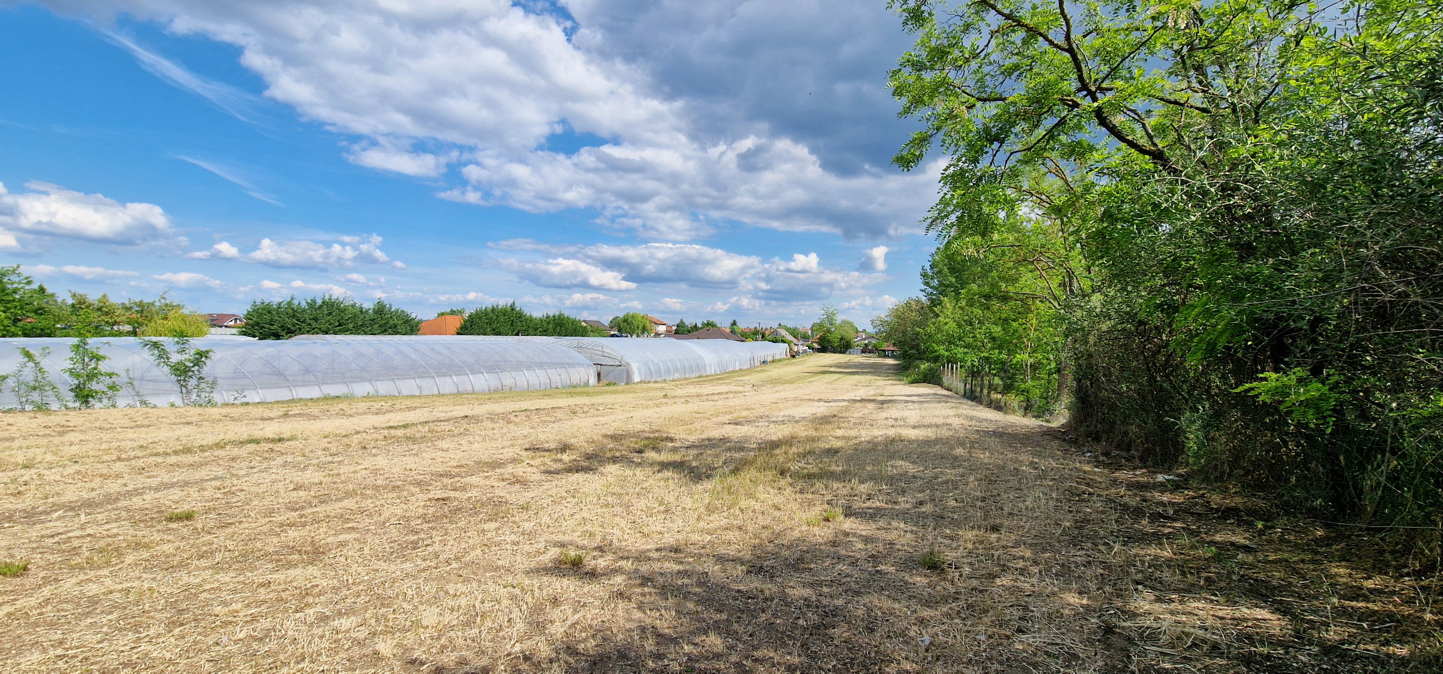 Ponúkam na predaj veľký pozemok s rozlohou 3765 m² v meste Nesvady