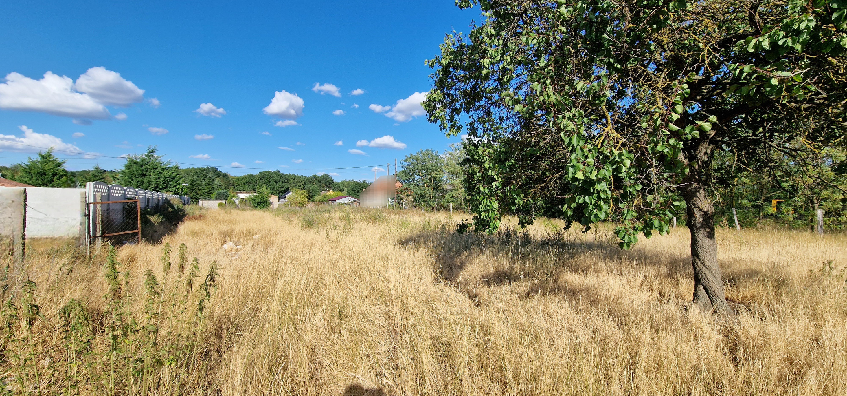 NA PREDAJ pozemok s výmerou 2 000 m² v obci Marcelová