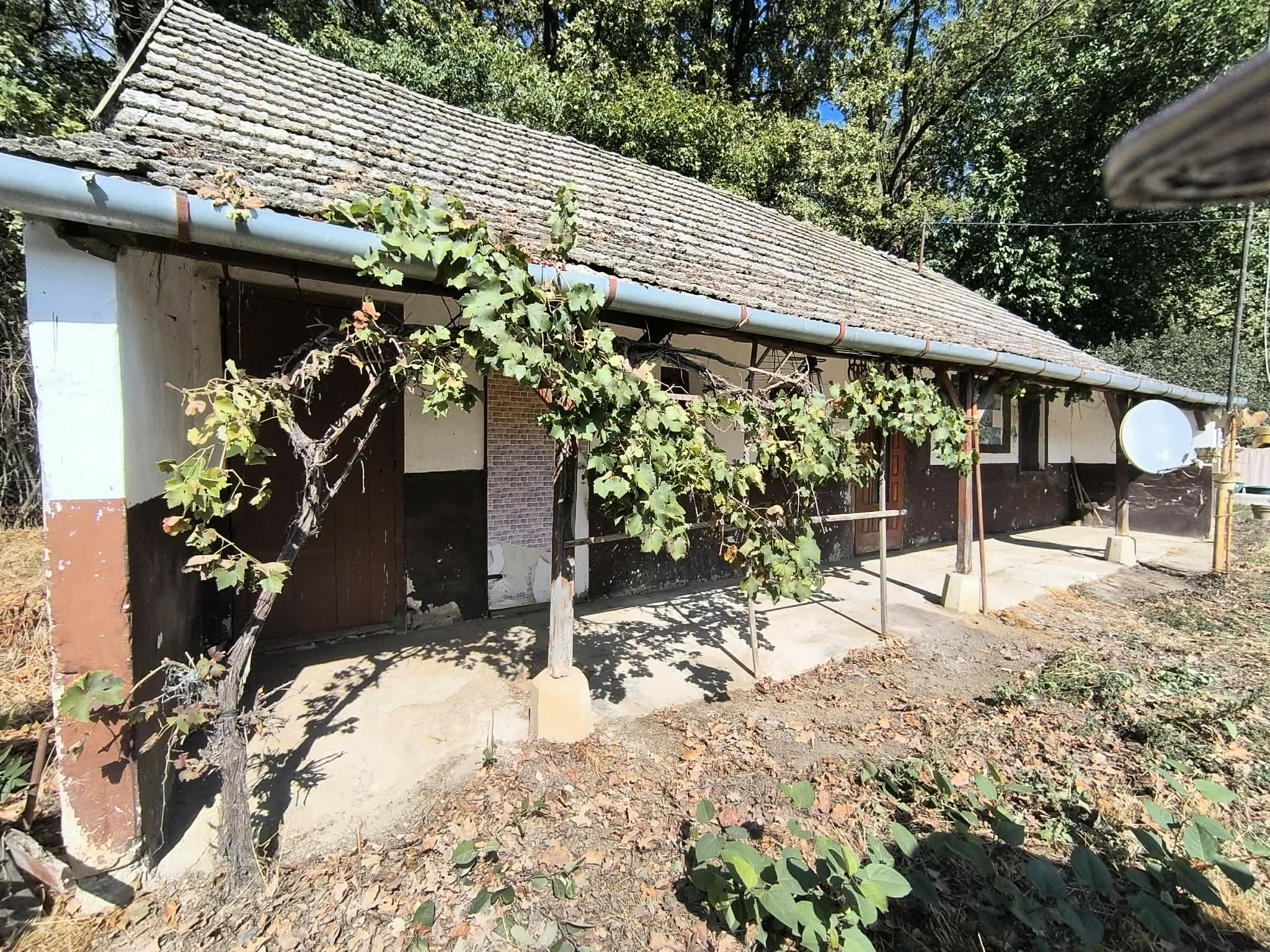 Ponúkame na predaj chatu na Malom Ostrove