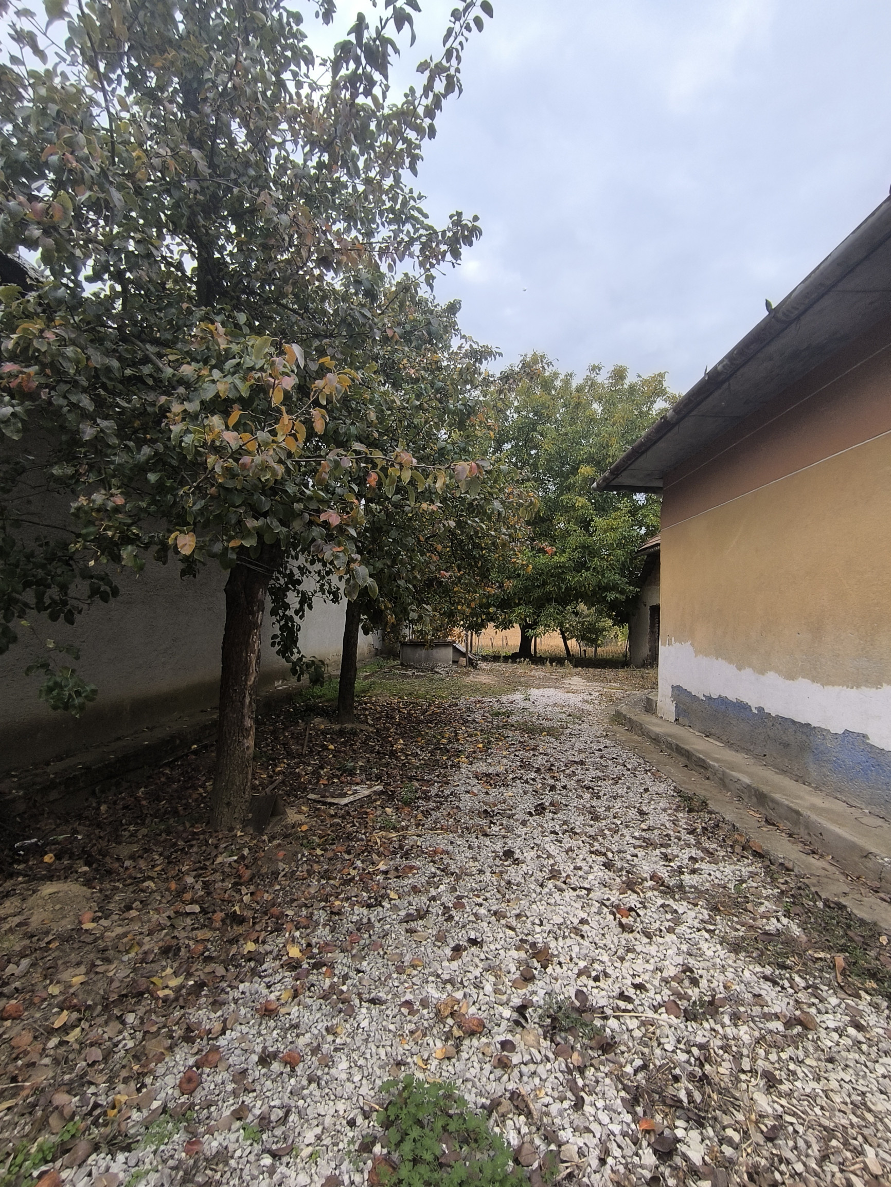 NA PREDAJ RODINNÝ DOM S VEĽKÝM POZEMKOM VO VEĽKÝCH LUDINCIACH