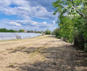 Ponúkam na predaj veľký pozemok s rozlohou 3765 m² v meste Nesvady