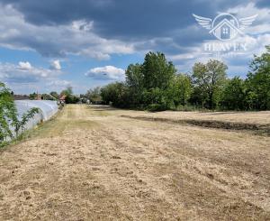 Ponúkam na predaj veľký pozemok s rozlohou 3765 m² v meste Nesvady