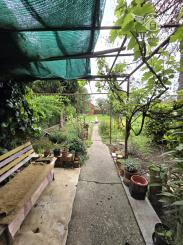 Ponúkame na predaj rodinný dom v pôvodnom stave v Kolárove vo veľmi dobrej lokalite!