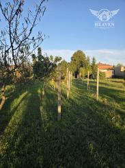 Ponúkame na predaj veľký rodinný dom v Iži