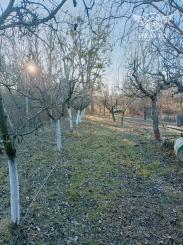 Ponúkame na predaj záhradu v záhradkárskej oblasti pri Kolárove