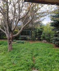 Exkluzívne ponúkame na predaj poschodový rodinný dom v tichej lokalite mesta Kolárovo.