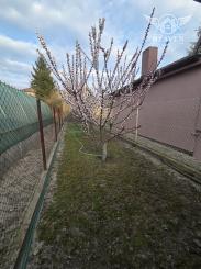 Ponúkame na predaj rodinný dom v Komárne