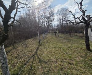 Ponúkame na predaj záhradu v záhradkárskej oblasti pri Kolárove
