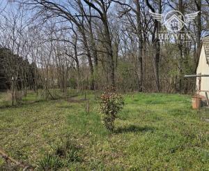 Ponúkame na predaj chatu na Malom Ostrove