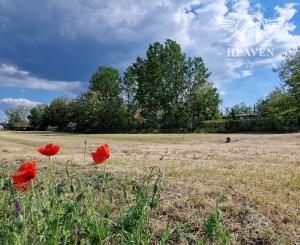 Ponúkam na predaj veľký pozemok s rozlohou 3765 m² v meste Nesvady