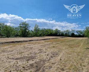 Ponúkam na predaj veľký pozemok s rozlohou 3765 m² v meste Nesvady