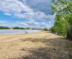 Ponúkam na predaj veľký pozemok s rozlohou 3765 m² v meste Nesvady