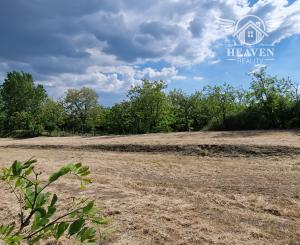 Ponúkam na predaj veľký pozemok s rozlohou 3765 m² v meste Nesvady