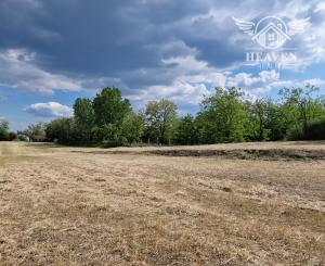 Ponúkam na predaj veľký pozemok s rozlohou 3765 m² v meste Nesvady