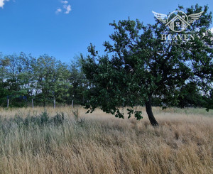 NA PREDAJ pozemok s výmerou 2 000 m² v obci Marcelová