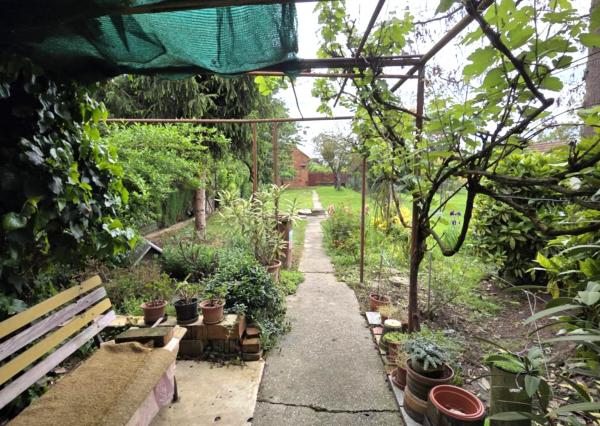 Ponúkame na predaj rodinný dom v pôvodnom stave v Kolárove vo veľmi dobrej lokalite!