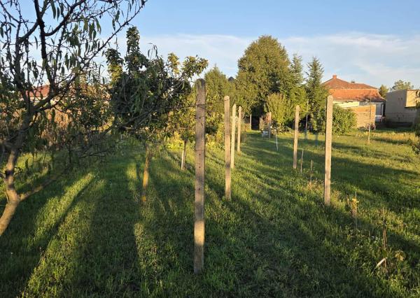 Ponúkame na predaj veľký rodinný dom v Iži