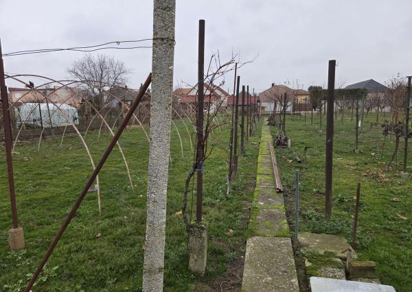 Ponúkame na predaj rodinný dom v Nededi