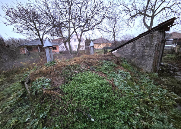 Z poverenia majiteľa ponúkame na predaj dom v Kolárove