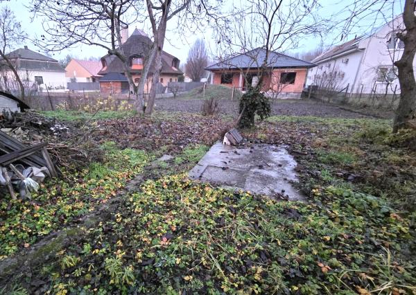 Z poverenia majiteľa ponúkame na predaj dom v Kolárove