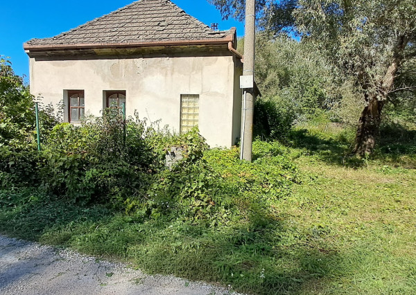 Ponúkame na predaj rodinný dom na Veľkom Ostrove s veľkým pozemkom