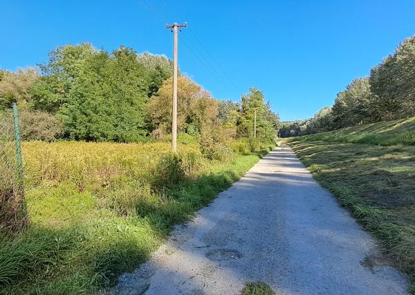 Ponúkame na predaj rodinný dom na Veľkom Ostrove s veľkým pozemkom