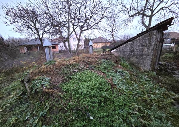 Z poverenia majiteľa ponúkame na predaj dom v Kolárove