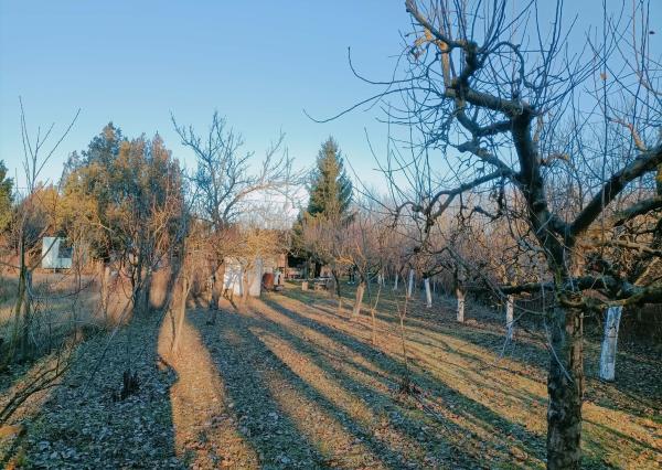 Ponúkame na predaj záhradu v záhradkárskej oblasti pri Kolárove