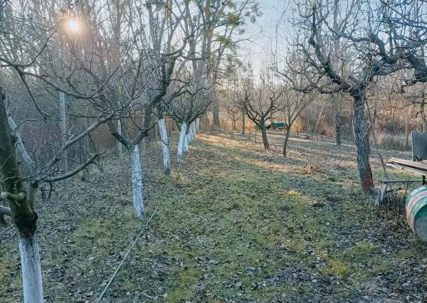 Ponúkame na predaj záhradu v záhradkárskej oblasti pri Kolárove