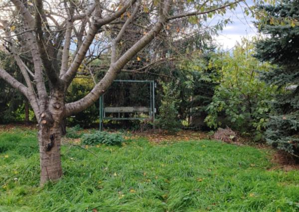 Exkluzívne ponúkame na predaj poschodový rodinný dom v tichej lokalite mesta Kolárovo.