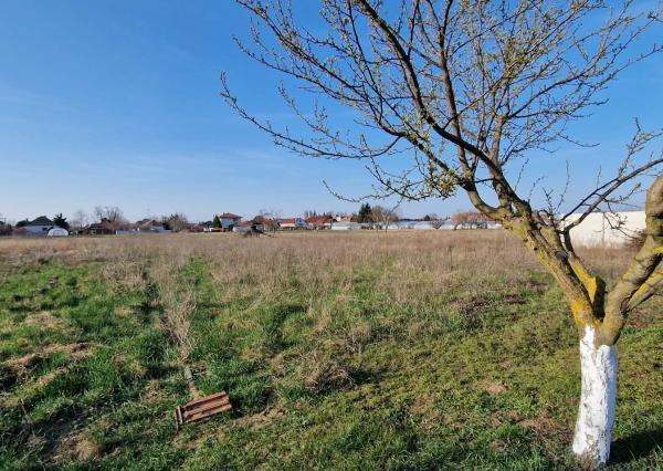 Ponúkame na predaj rod.dom s veľkým pozemkom v Ímeli