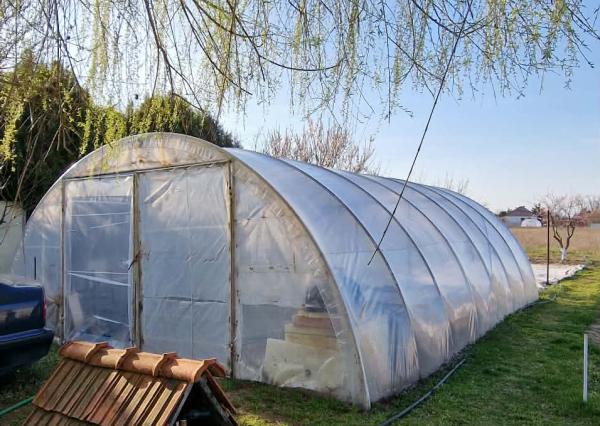 Ponúkame na predaj rod.dom s veľkým pozemkom v Ímeli