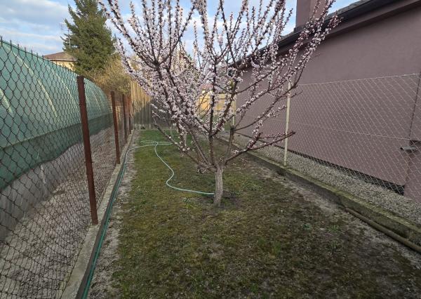 Ponúkame na predaj rodinný dom v Komárne