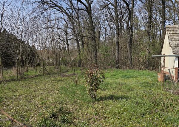 Ponúkame na predaj chatu na Malom Ostrove