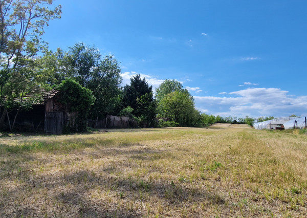 Ponúkam na predaj veľký pozemok s rozlohou 3765 m² v meste Nesvady