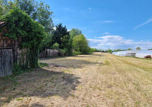 Ponúkam na predaj veľký pozemok s rozlohou 3765 m² v meste Nesvady