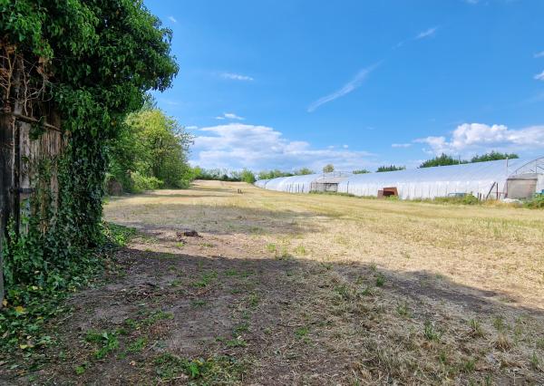 Ponúkam na predaj veľký pozemok s rozlohou 3765 m² v meste Nesvady