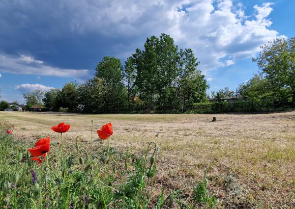 Ponúkam na predaj veľký pozemok s rozlohou 3765 m² v meste Nesvady