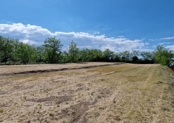Ponúkam na predaj veľký pozemok s rozlohou 3765 m² v meste Nesvady