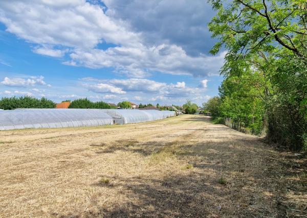 Ponúkam na predaj veľký pozemok s rozlohou 3765 m² v meste Nesvady