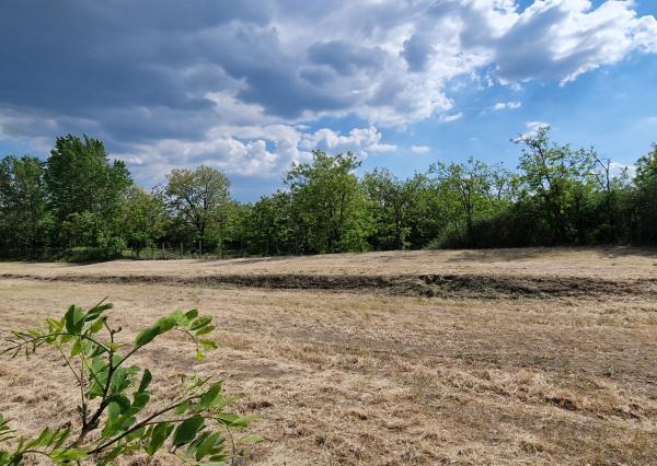 Ponúkam na predaj veľký pozemok s rozlohou 3765 m² v meste Nesvady