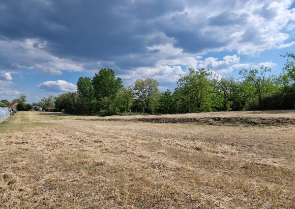 Ponúkam na predaj veľký pozemok s rozlohou 3765 m² v meste Nesvady