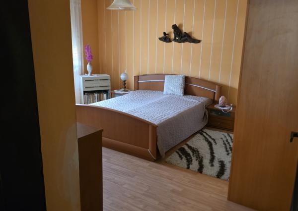 Priestranný 5-izbový rodinný dom v centre mesta Kolárovo