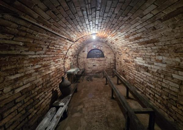 Ponúkame na predaj vínny domček s vinicou v Bátorových Kosihách